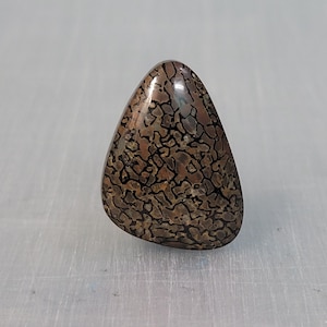 May include: A polished, triangular-shaped cabochon featuring a complex, dark brown and black network pattern resembling fossilized bone or cellular structure. The surface is smooth and reflective, showcasing a distinct, organic, web-like texture.