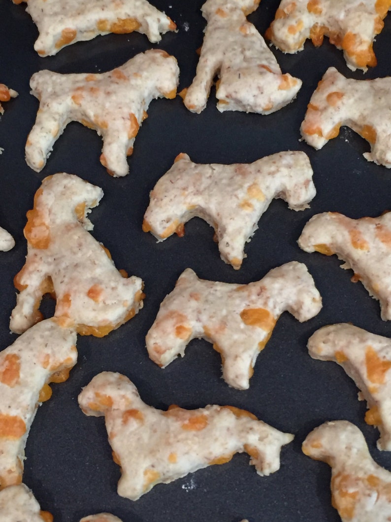 Cheddar Hounds Devon's Doggie Delights Homemade Dog Treats image 2