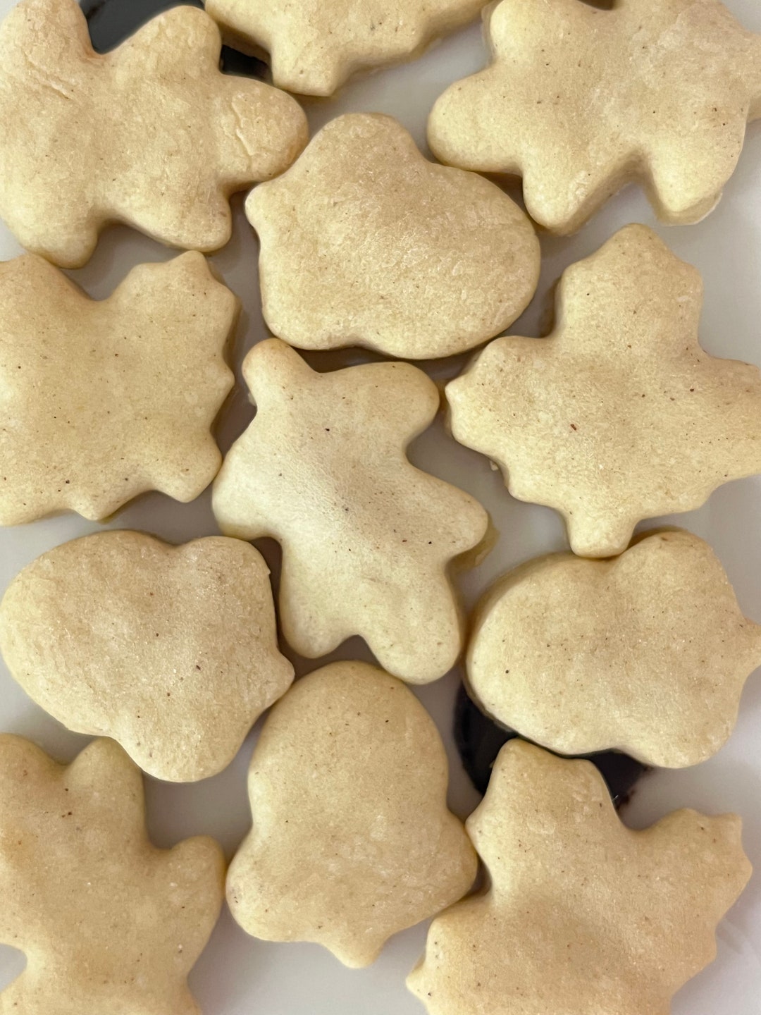 Autumn Delight Pears Devon's Doggie Delights Homemade Dog Treats Etsy
