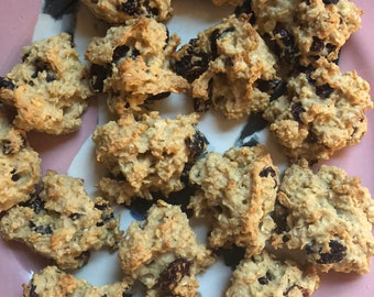 Cranberry Oatmeal Cookies - Devon's Doggie Delights - Homemade Dog Treats