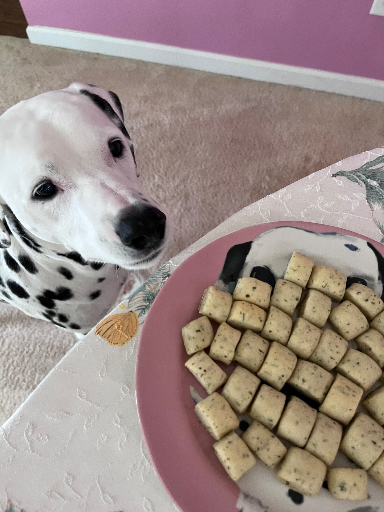 Ricotta Pillows Devons Doggie Delights Handmade Dog Etsy