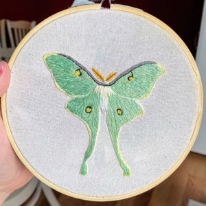 Luna moth embroidery hoop art, insect, butterfly, thread painting, dmc, artwork, hand embroidered, wall art, decor, display, handmade