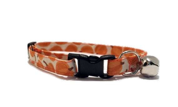 pumpkin cat collar