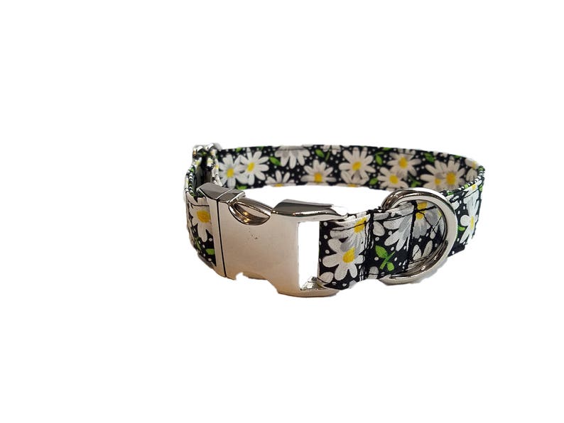 daisy puppy collar