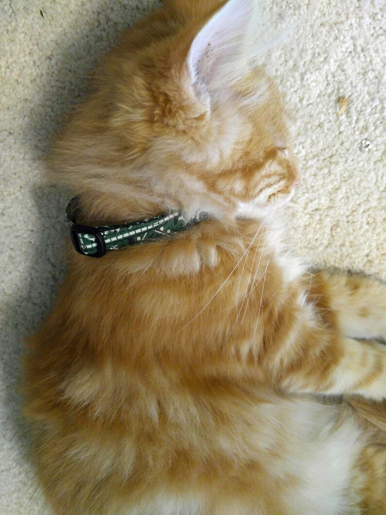 Green Shamrock on White Cat Collar Clover St Patricks Day Etsy