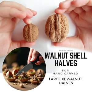 10ps Walnut Shell for Hand Carved, Nut Shells, Craft Walnut Halves, Unique Walnut Carving, Artisan Walnut Shells, Uncarved Walnut Shells