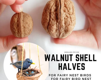 10ps Walnut halves for miniature birds nest, bird nest, Walnut halves for bird nest wreath, Walnut shell halves for bird nest with eggs