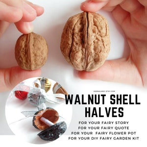 10ps Walnut shell Halves for fairy quote, Walnut for fairy flower pot, Walnut shell for DIY fairy garden kit, Walnut shell Fairy garden kit