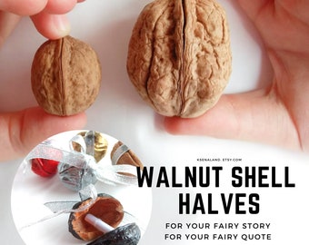 10ps Walnut shell Halves for fairy quote, Walnut for fairy flower pot, Walnut shell for DIY fairy garden kit, Walnut shell Fairy garden kit