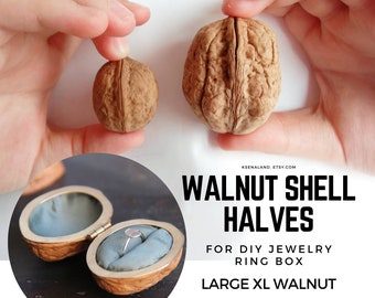 10ps Walnut Shell Halves for Box Jewelry, For Box Earing, For Confirmation Box, Walnut Jewelry Box, Made For Bridesmaid Proposal Box Retro