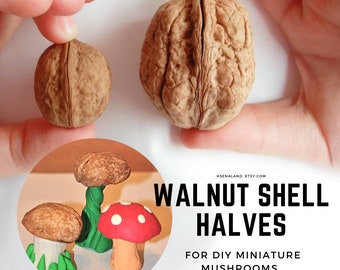 10ps Walnut shell Kit for DIY miniature mushroom, Mushroom supplies, Mushroom gnome, Little girl ornament, Mushroom shellnut carving