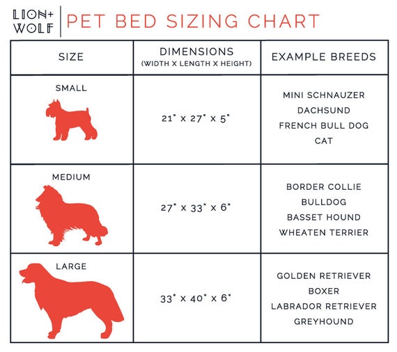 labrador bed size