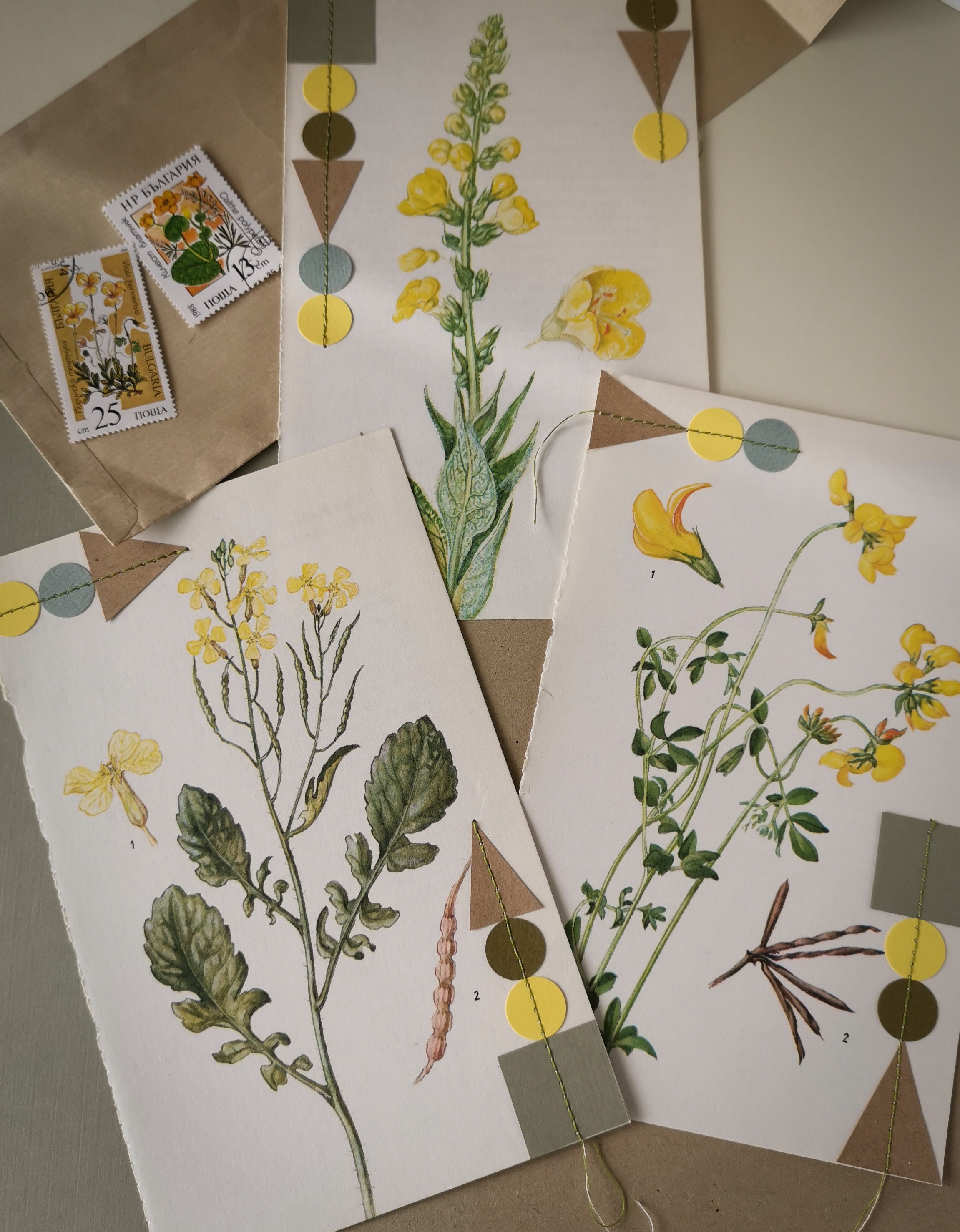 Botanical Floral Collage Vintage Flower Print Collage Floral and ...