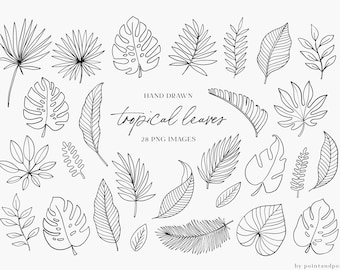 Hand Drawn clipart, Doodle tropical leaves, Clip art branches, Botanical design elements, Leaves, Summer,  Commercial use