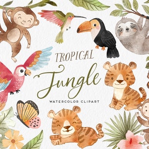 Jungle animaux aquarelle clipart, clipart tropical mignon, Rainforest Digital Clip Art, douche de bébé Jungle, Jungle pépinière, paresseux, singe