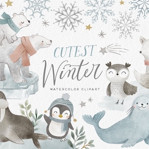 Clipart de aquarela de inverno, animais árticos fofos, gráficos em aquarela de animais polares, foca, morsa, raposa, pinguim, urso, férias de inverno png