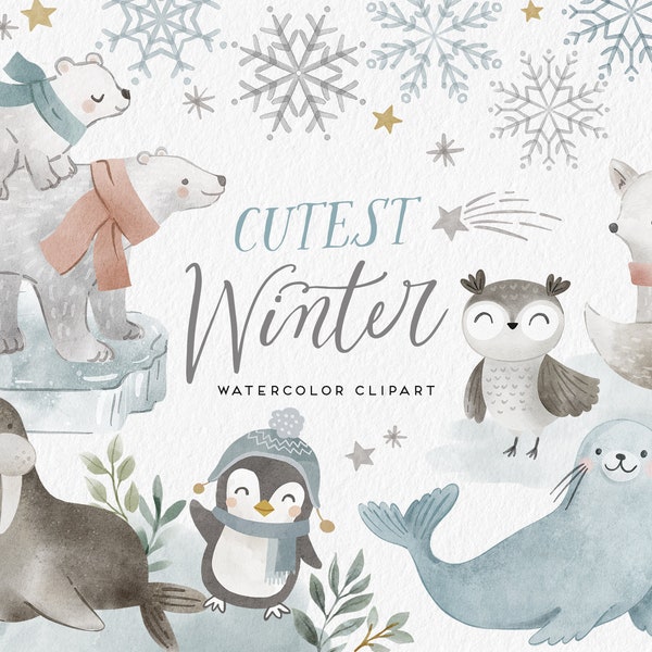 Winter watercolor clipart, Cute arctic animals, polar animals watercolor graphics, Seal, Walrus, Fox, Penguin, Bear, Winter Holidays png