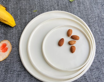 Plain White Porcelain / Fabulous Dinner Plates