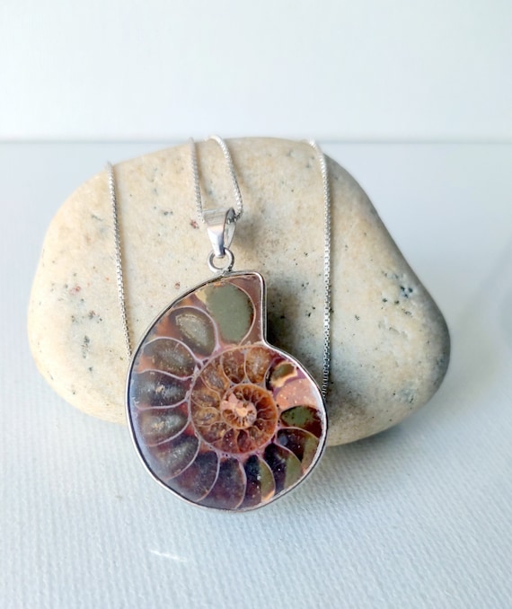 Sterling Silver Ammonite Shell Necklace 18" Vintag