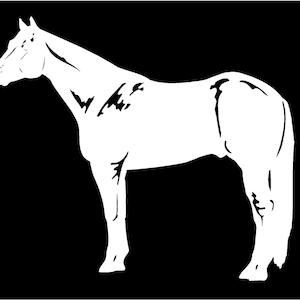 Quarter Horse Decal Full Body Contour Cut Vinyl Equestrian Car Truck Trailer Sticker