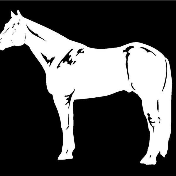 Quarter Horse Decal Full Body Contour Cut Vinyl Equestrian Car Truck Trailer Sticker