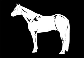 INDIGOS UG Adesivo Auto JDM – Quarter Horse, Taglio Die-cut, Pellicola Tedesca, Bianco, 88x101 Mm, Resistente A UV E Autolavaggio
