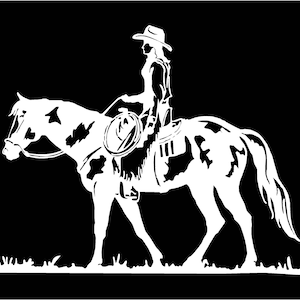 Rider Equine Love Vinyl Decal Sticker A CRAZY HORSE LADY #2 FACES Rider Equine Love Vinyl Decal Sticker A CRAZY HORSE LADY #2 FACES