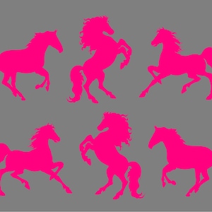 Horse Vinyl Decals Equestrian Car Truck Trailer Sticker set of six