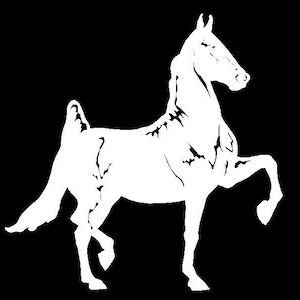 American Saddlebred Horse Decal Full Body Contour Cut Vinyl Decal Equestrian Car Truck Trailer Sticker