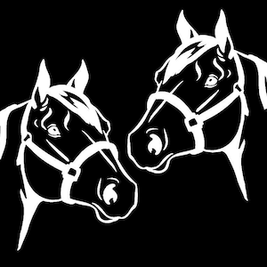 Quarter Horse Head Decals Mirrored Image Set Contour Cut Vinyl Decal Equestrian Car Truck Trailer Sticker