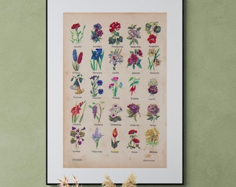 1954 Vintage Flowers Illustration