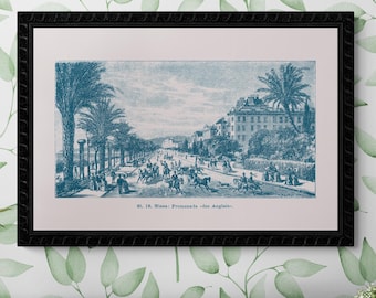 1890 Vintage Nice Illustration