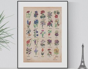 1954 Vintage Flowers Illustration - Digital Download