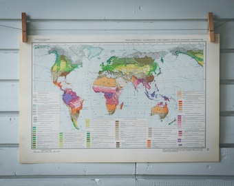 1964 Vintage World Landscape Map
