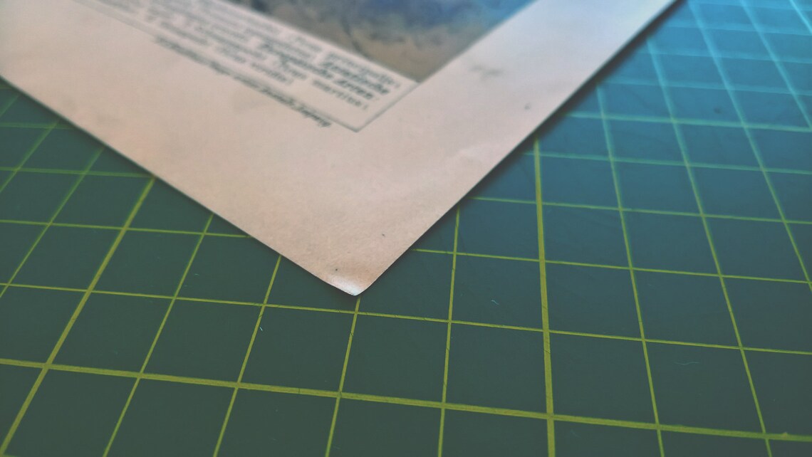 1894 Vintage Specht Chromolithographie Illustration | Etsy