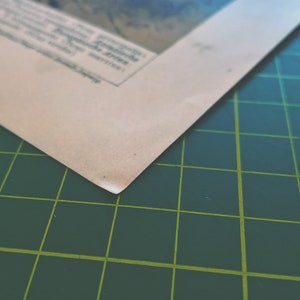 1894 Vintage Specht Chromolithographie Illustration | Etsy