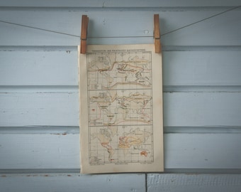 1907 Vintage Mammal Areals World Map