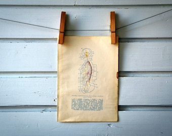 1961 Vintage Female Autonomous Nervous System Illustration