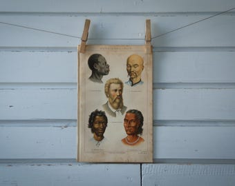 1887 Vintage Human Races Chromolithograph Illustration