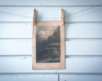Rare find* 1871 Vintage Mountain Pine Lithograph Illustration