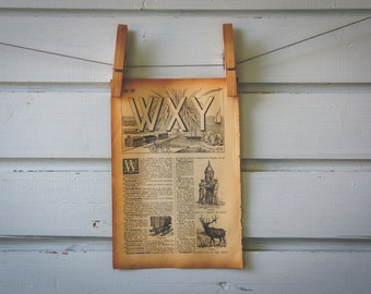 1913 Vintage Letters WXY Lithograph Illustration