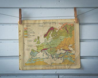 1924 Vintage Europe Vegetation Map