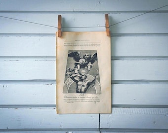 1884 Vintage Sun Illustration