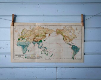 1907 Vintage Biogeography World Map