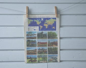 1977 Vintage Ocean Currents Map