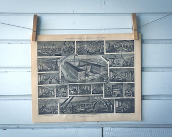 1909 Vintage Encyclopaedic Institute Lithograph Illustration