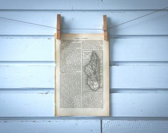 1890 Vintage Madagascar Map