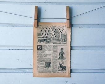 1922 Vintage Letter WXY Lithograph Illustration