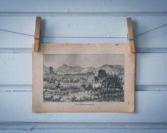 1894 Vintage Roman Campagna Lithograph Illustration