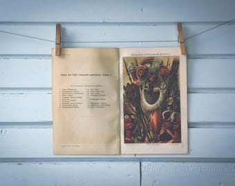 1897 Vintage Australia & Oceania Art Chromolithograph Illustration